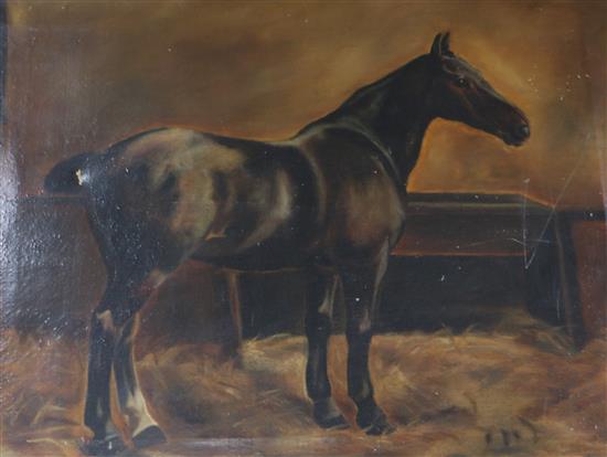 English School circa 1900 oil on canvas, horse in a stable 51 x 69cm. unframed